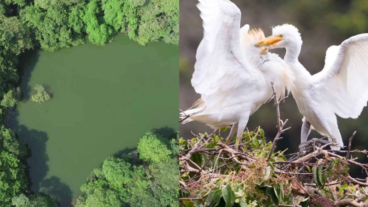 Ecoparque Lago de Las Garzas, Cali